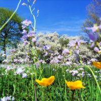 ARRIVA LA PRIMAVERA