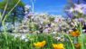 ARRIVA LA PRIMAVERA